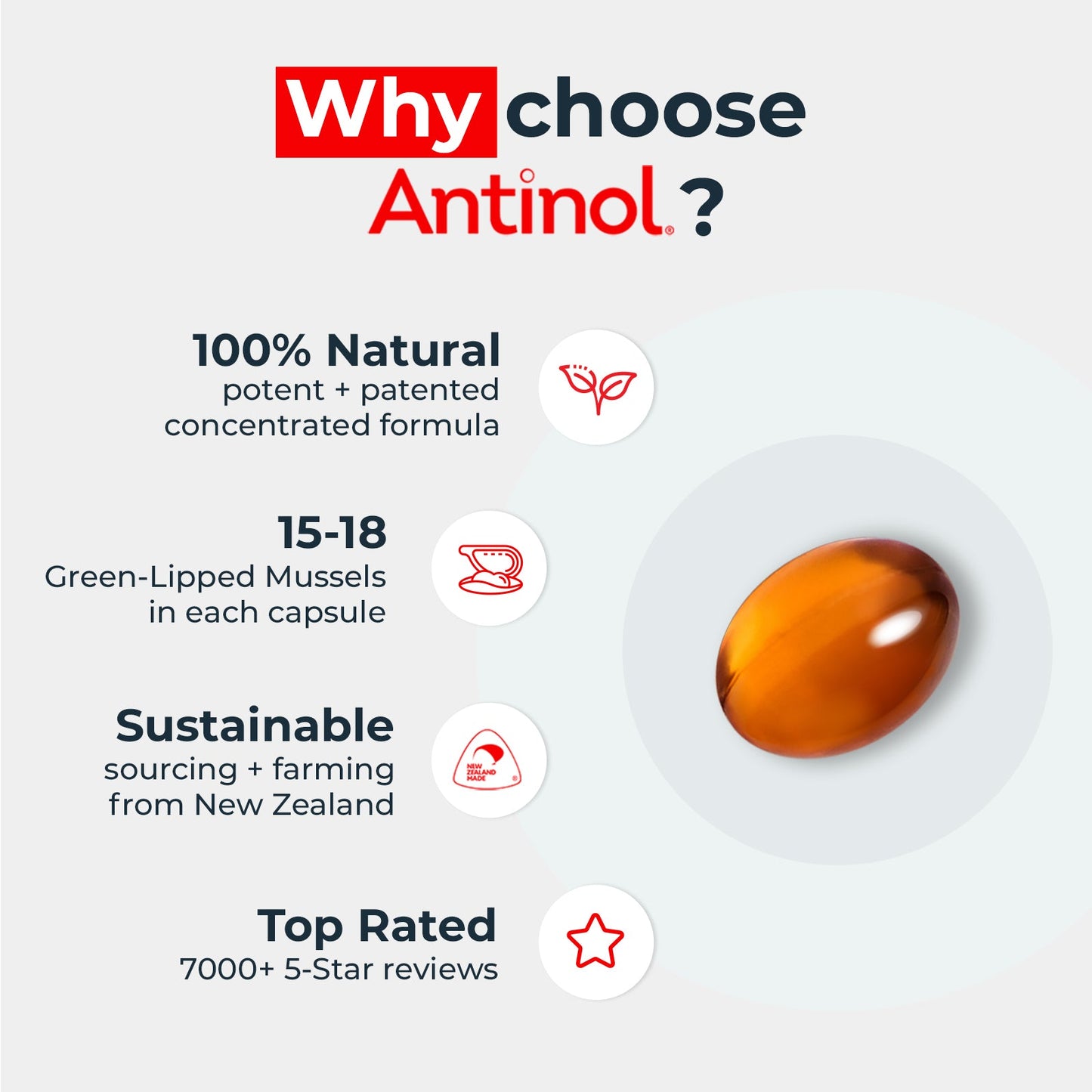 Cat Joint Supplement - Antinol<sup>®</sup> Joint Care Pro