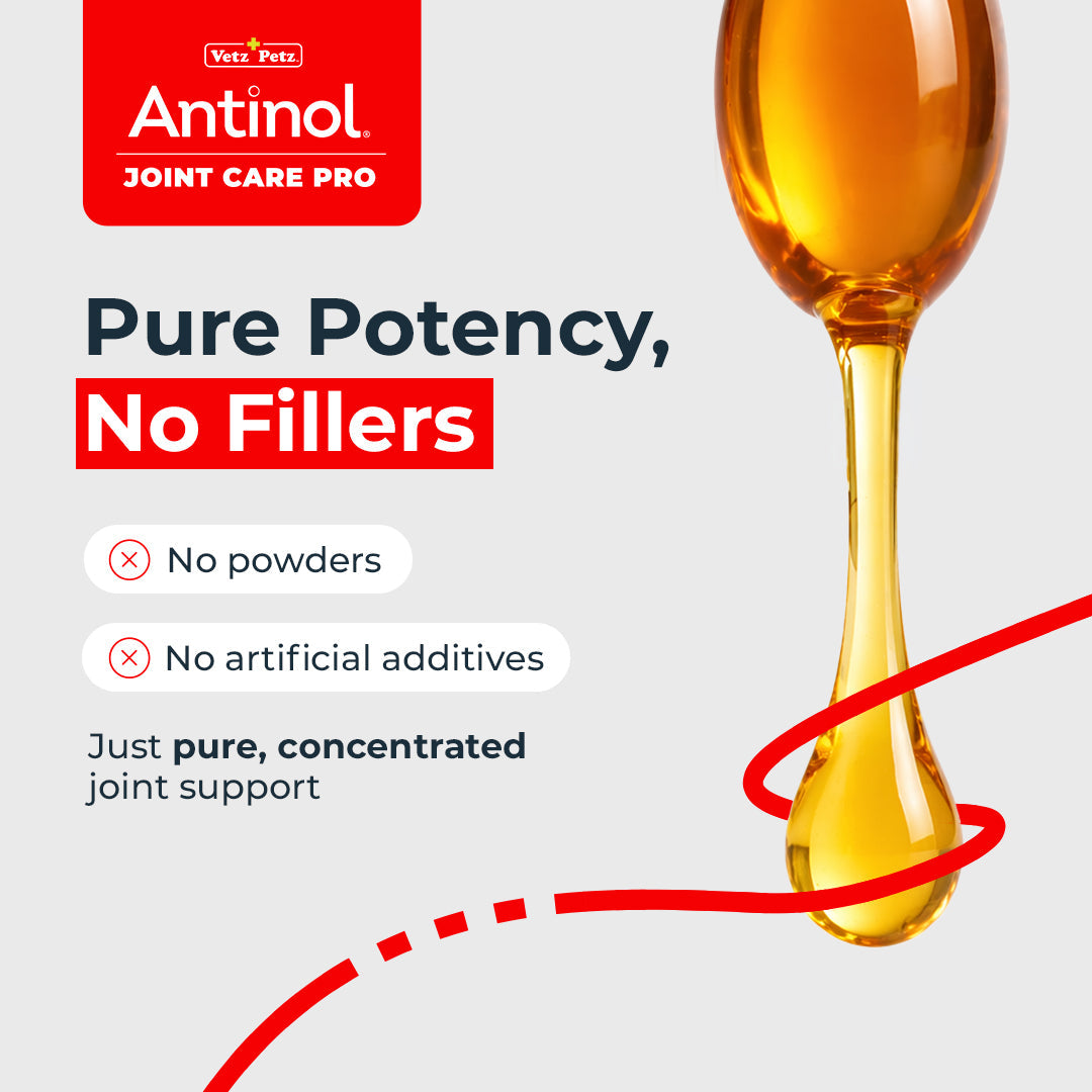 Dog Joint Supplements – Antinol <sup>®</sup> Joint Care Pro