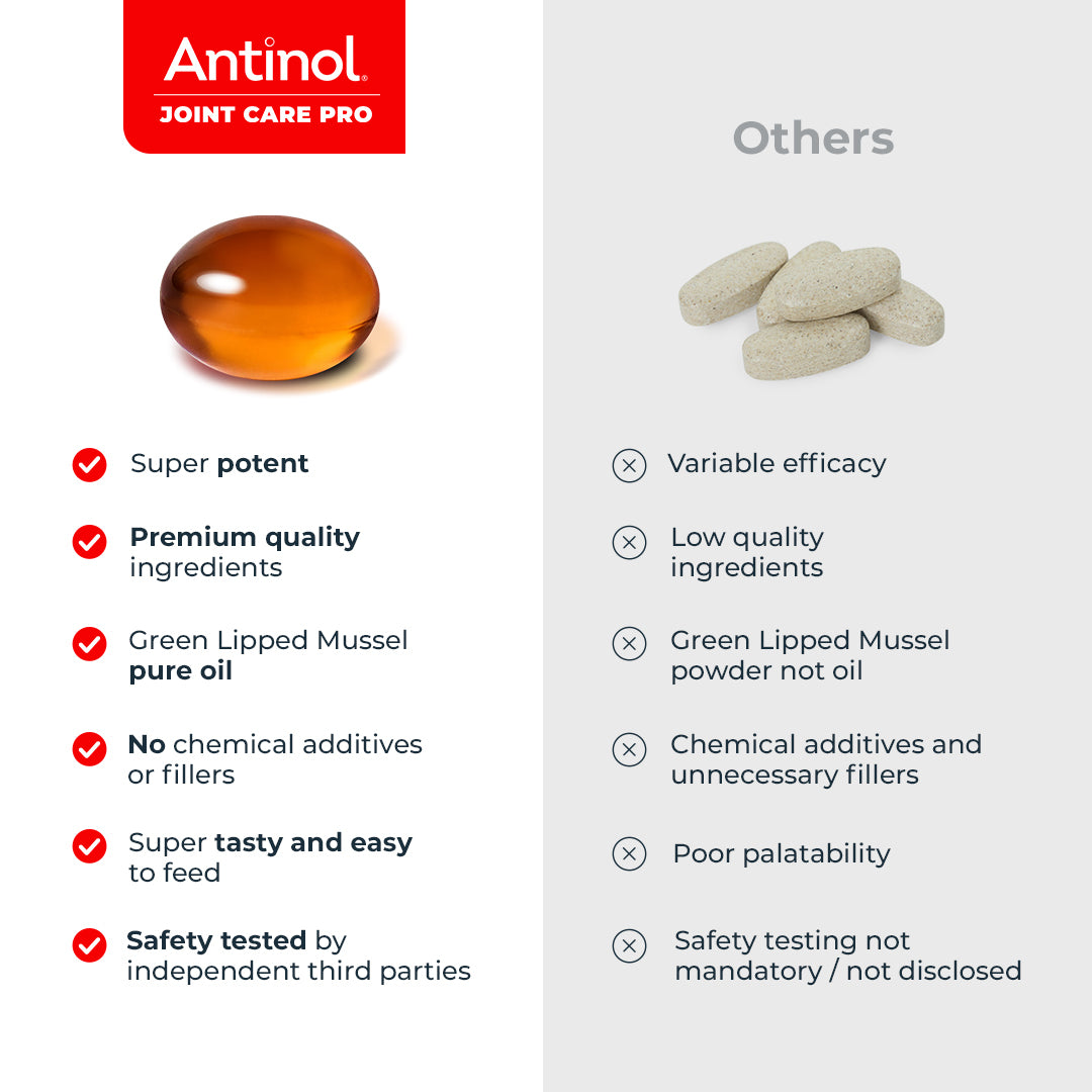 Cat Joint Supplement - Antinol<sup>®</sup> Joint Care Pro