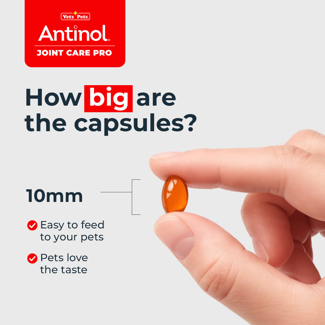 Cat Joint Supplement - Antinol<sup>®</sup> Joint Care Pro