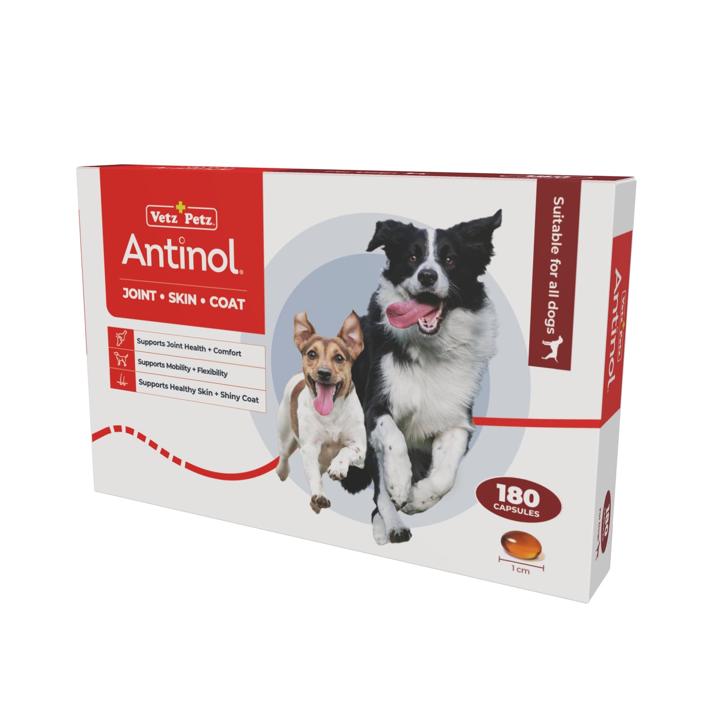 VP feeding programme - Dogs