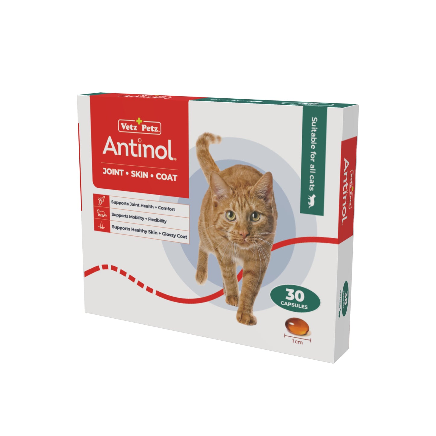 VP Feeding Programme - Cats