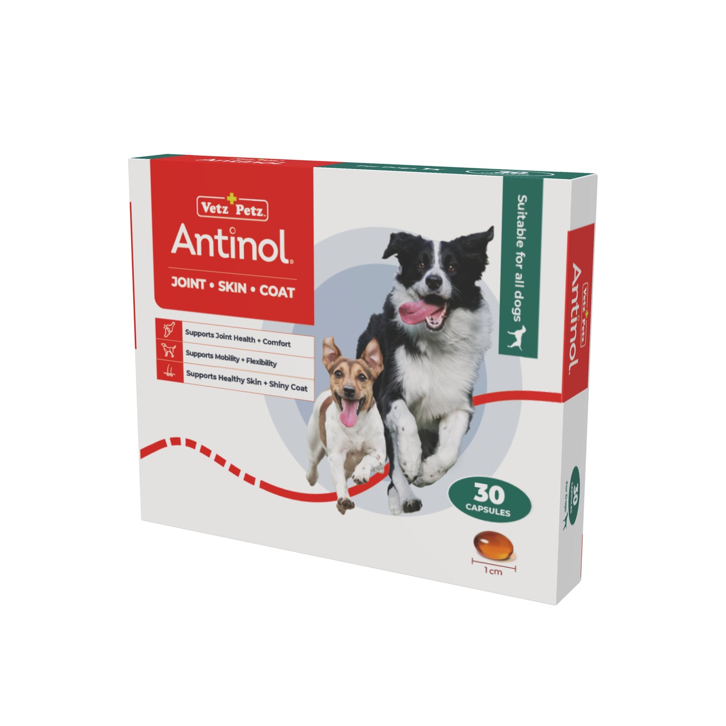 VP feeding programme - Dogs