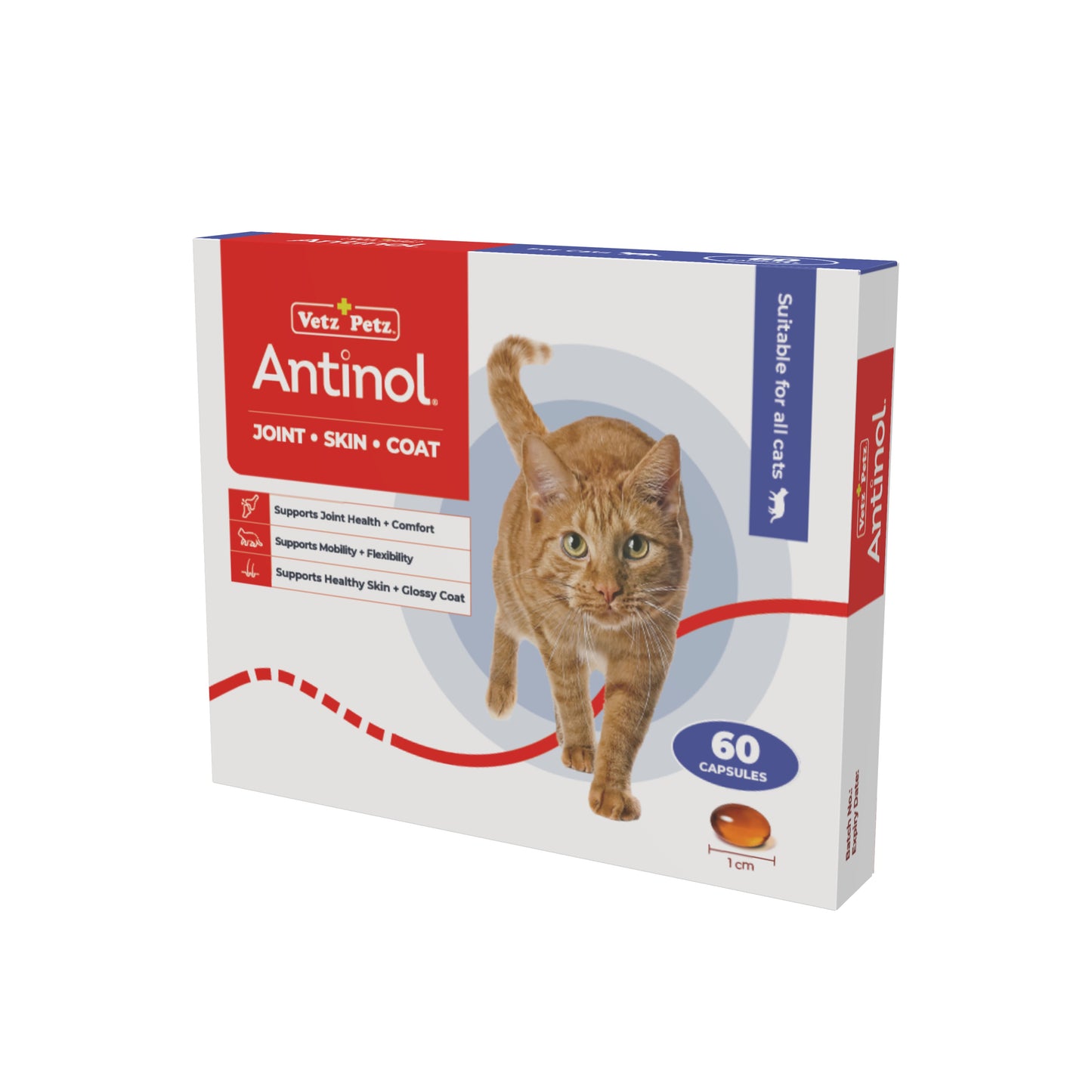 VP Feeding Programme - Cats