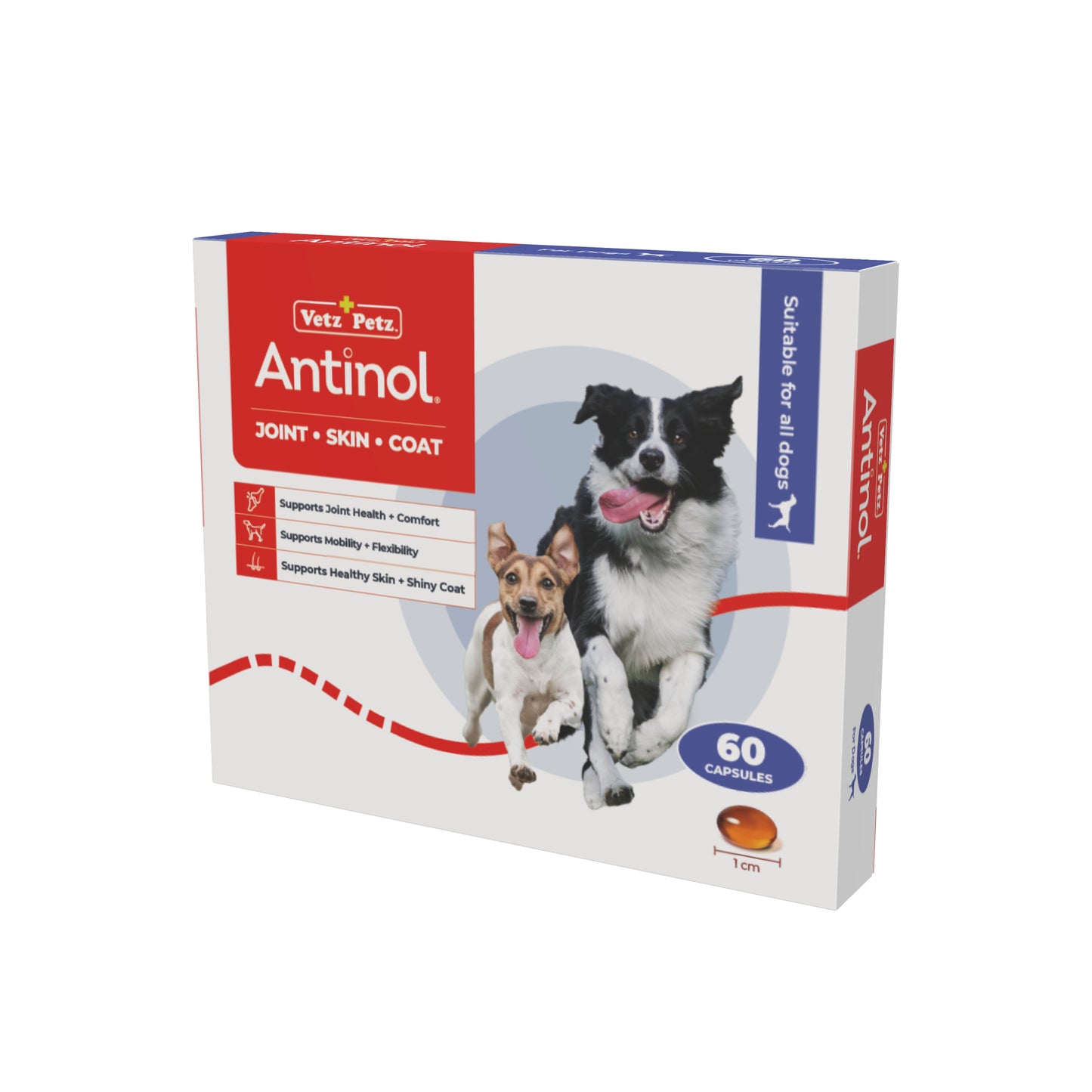 VP feeding programme - Dogs