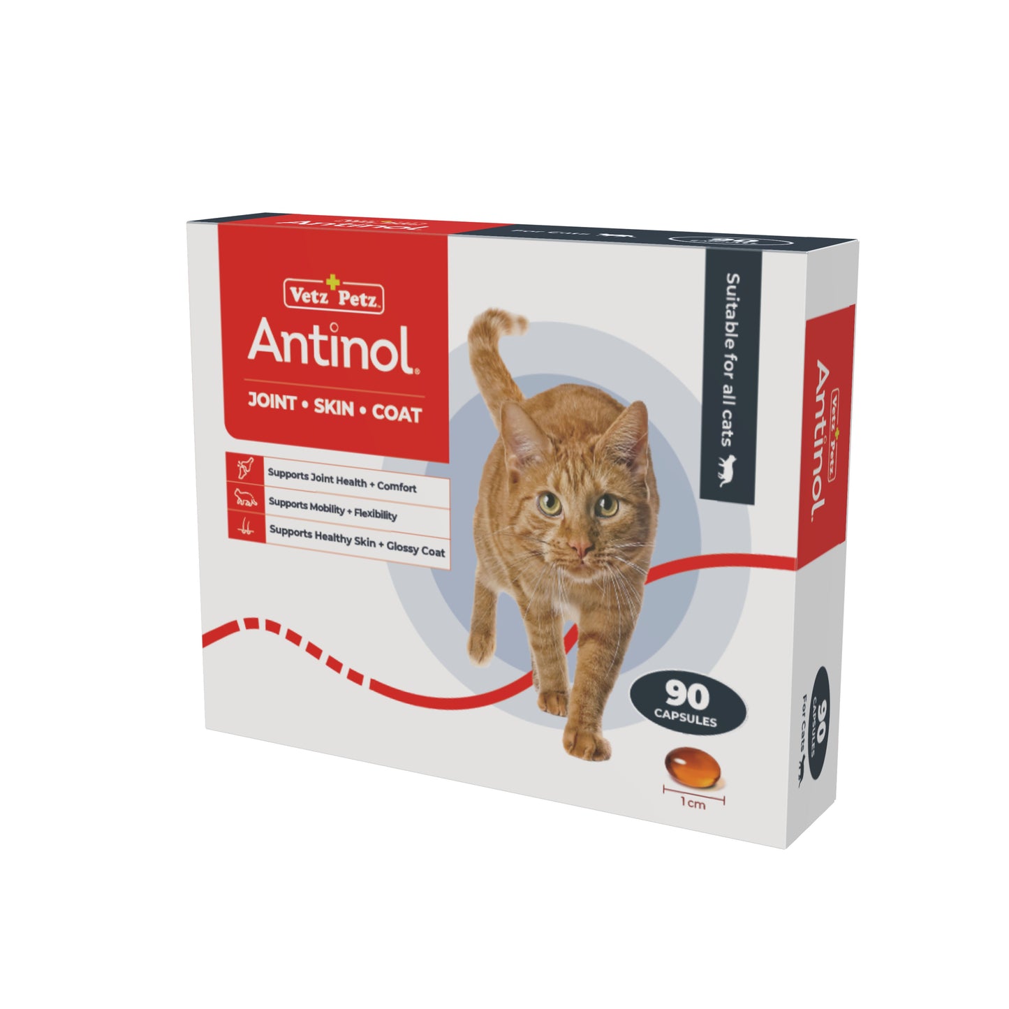 VP Feeding Programme - Cats