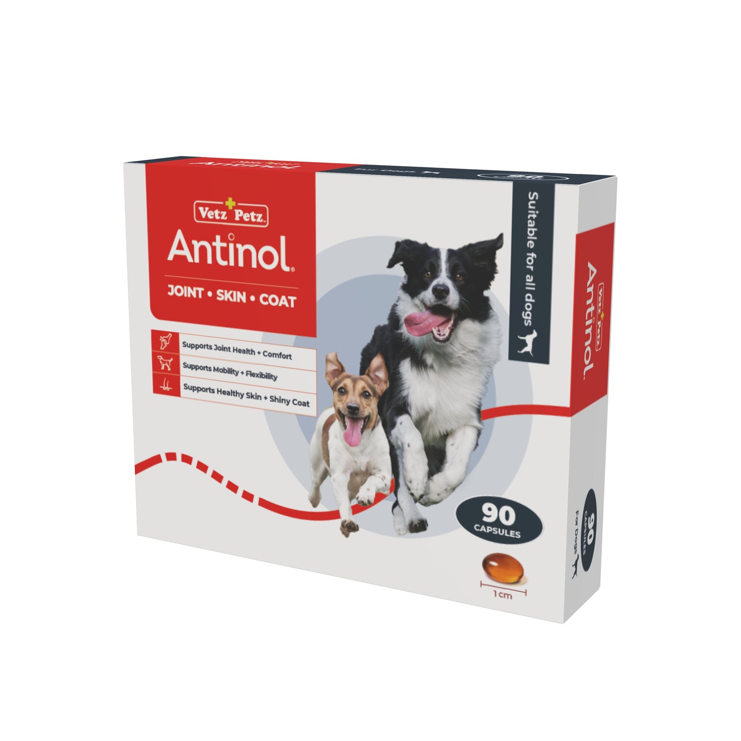 VP feeding programme - Dogs