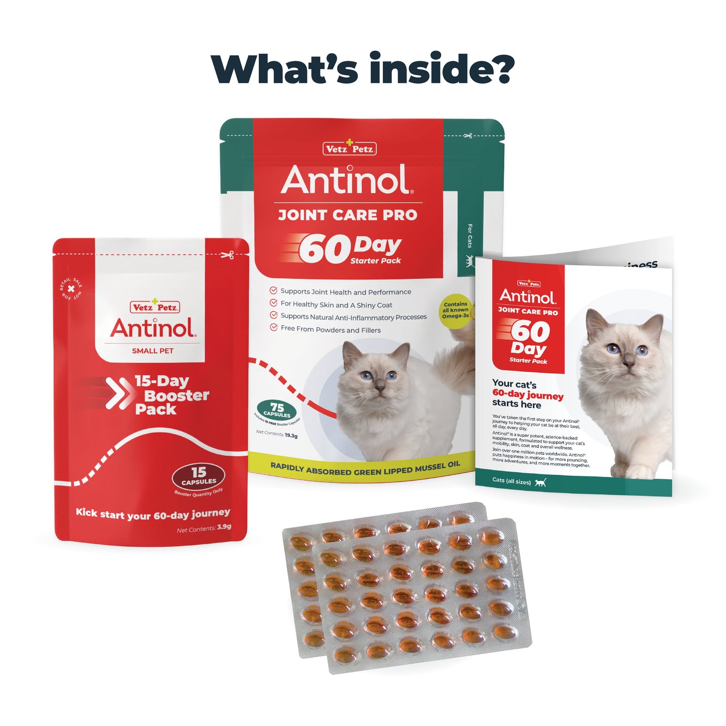 Joint Care for Cats - Try Antinol<sup>®</sup> Risk-Free