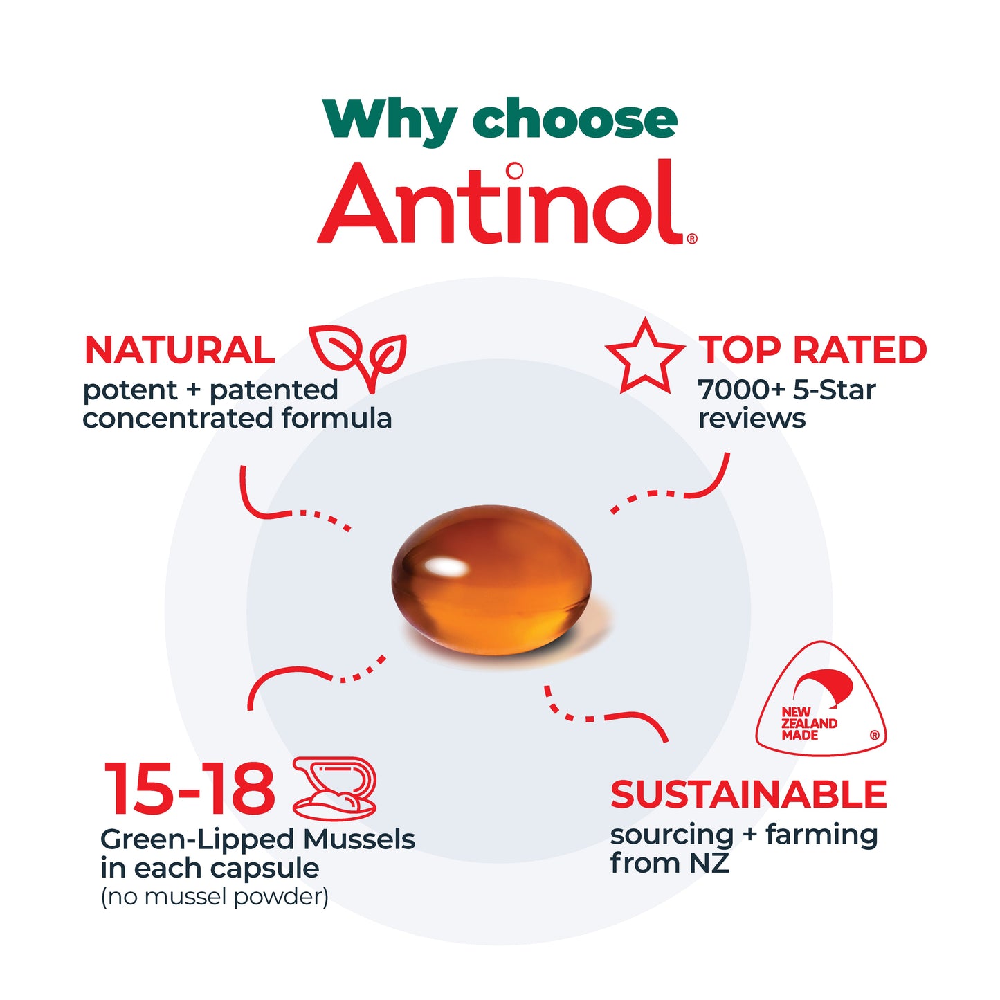 Joint Care for Cats - Try Antinol<sup>®</sup> Risk-Free