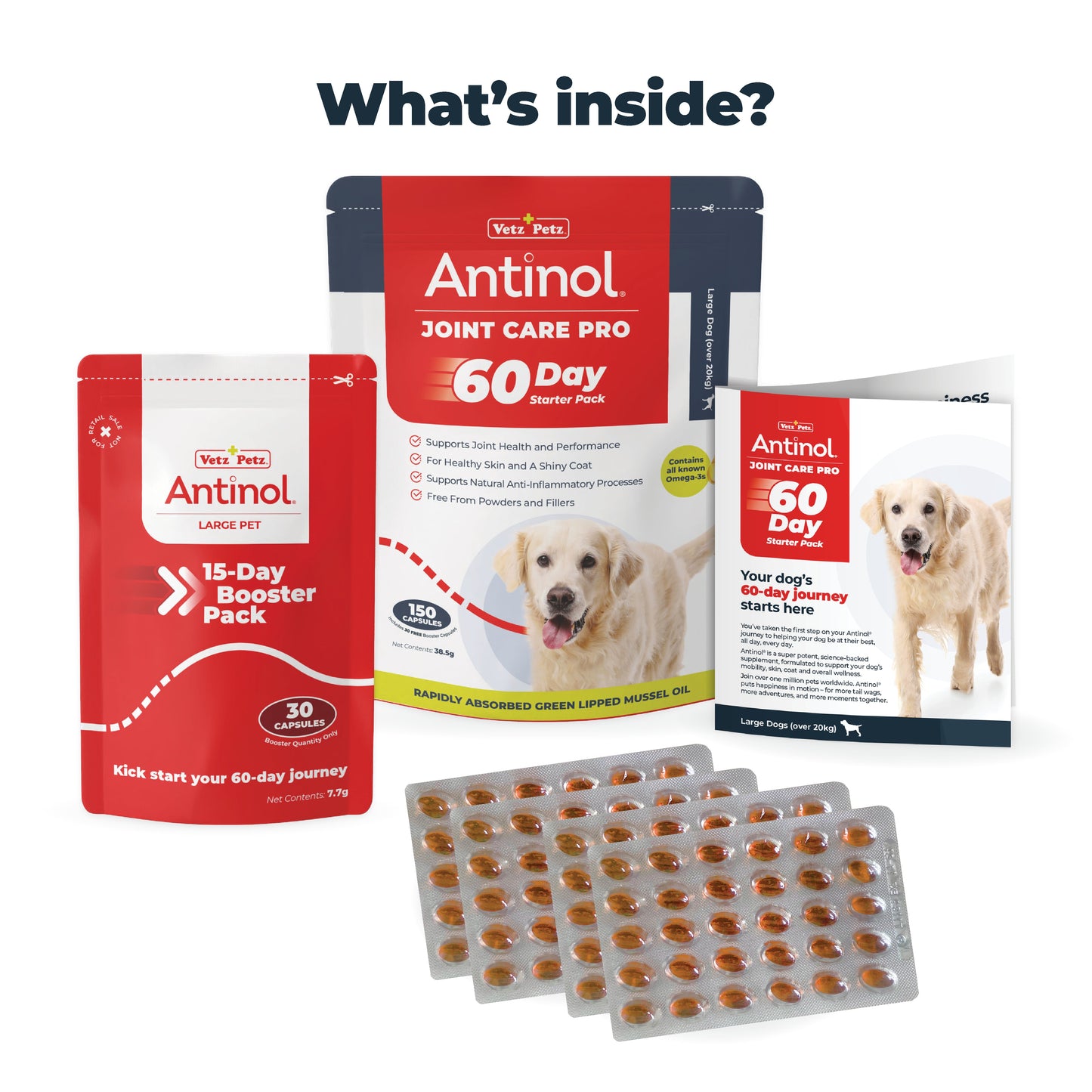 Joint Supplements for Large Dogs - Try Antinol<sup>®</sup> Risk-Free