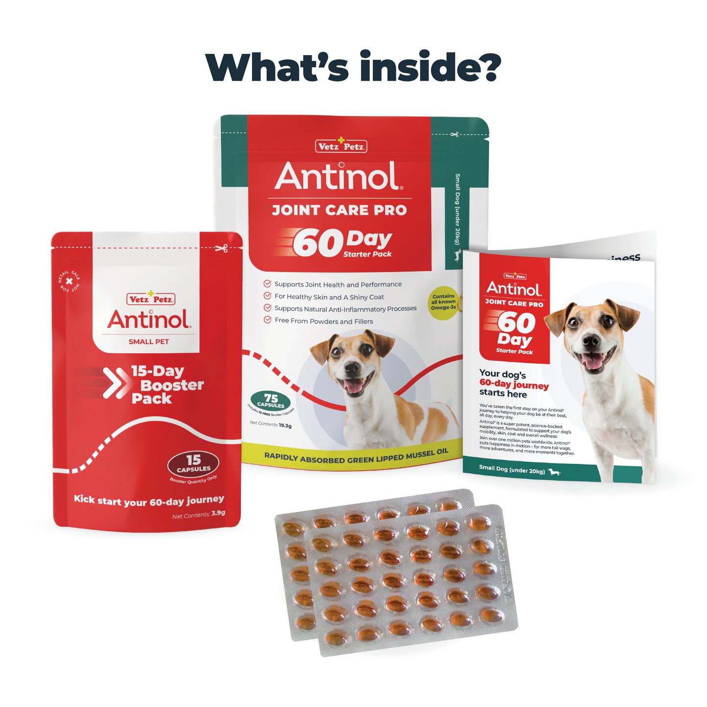 Joint Supplements for Small Dogs - Try Antinol<sup>®</sup> Risk-Free